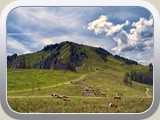 2020_Muenchen / ADSC02876