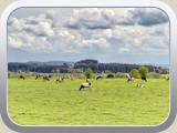 2022_Leutkirch / DSZ03196