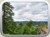 2026_Hinterweidenthal / DSZ09108