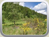 2026_Hinterweidenthal / DSZ09204