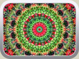 Bad_Schwalbach / _DSC6421
