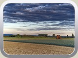 Buerstadt / DSZ01205