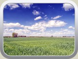Landschaften / DSC04836